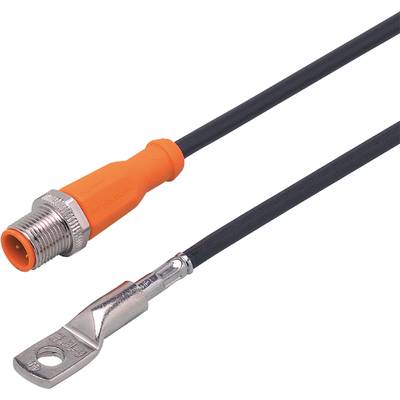 Een zwarte kabel met een oranje stekker en een zilveren oog.
