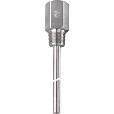 Een glanzende metalen pen met een brede, platte kop, rechtopstaand design. Essentieel voor constructie- of montagedoeleinden.