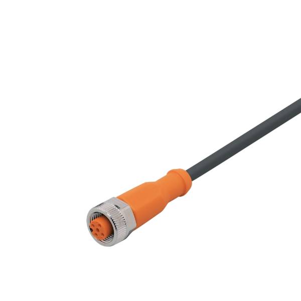 ifm Electronic EVC855 Aansluitkabel  Aantal polen (sensoren): 5 Bus, recht 3 m 1 stuk(s)