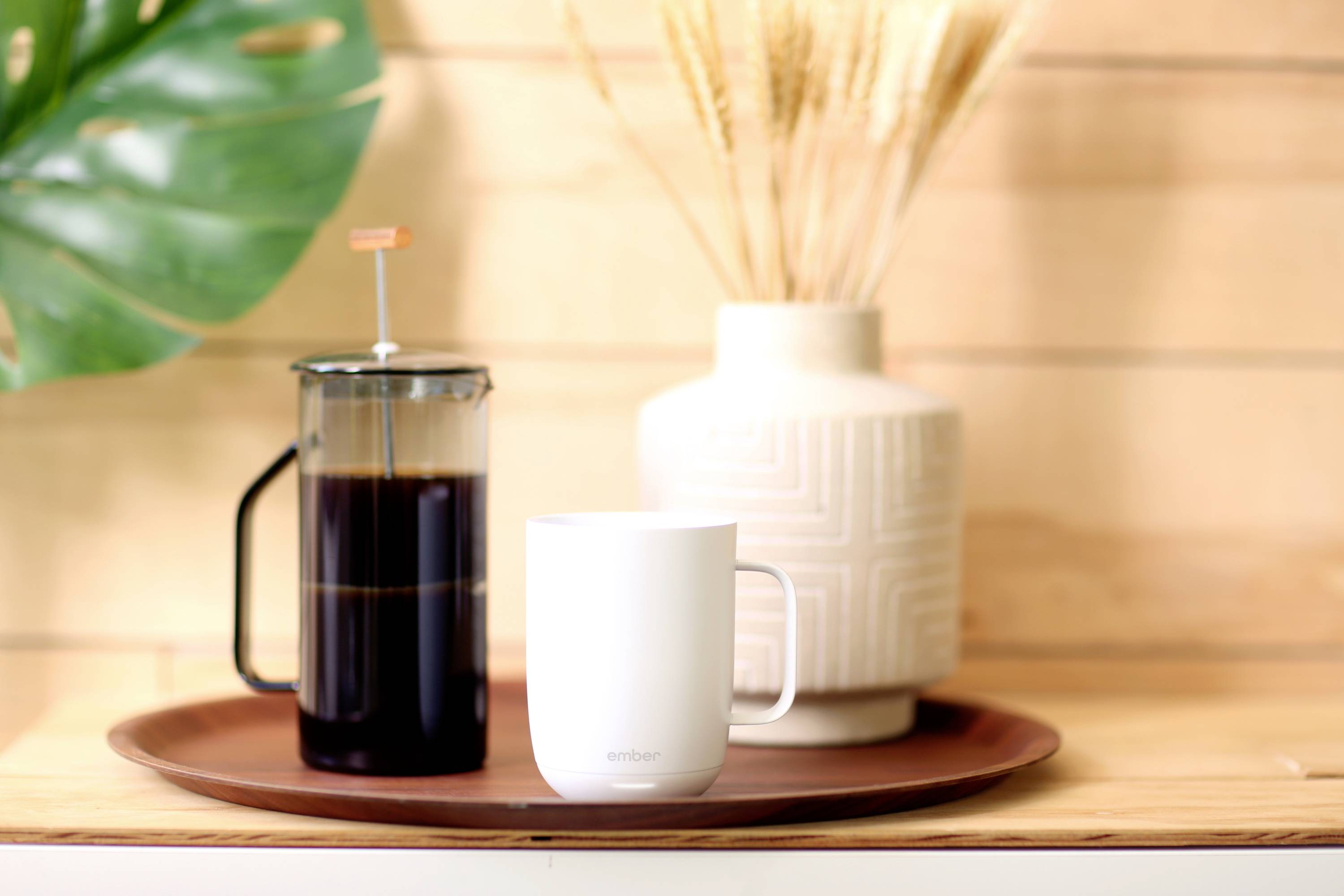 Een witte mok en een cafetière met koffie staan op een dienblad. Op de achtergrond een witte keramische pot met decoratieve takken.