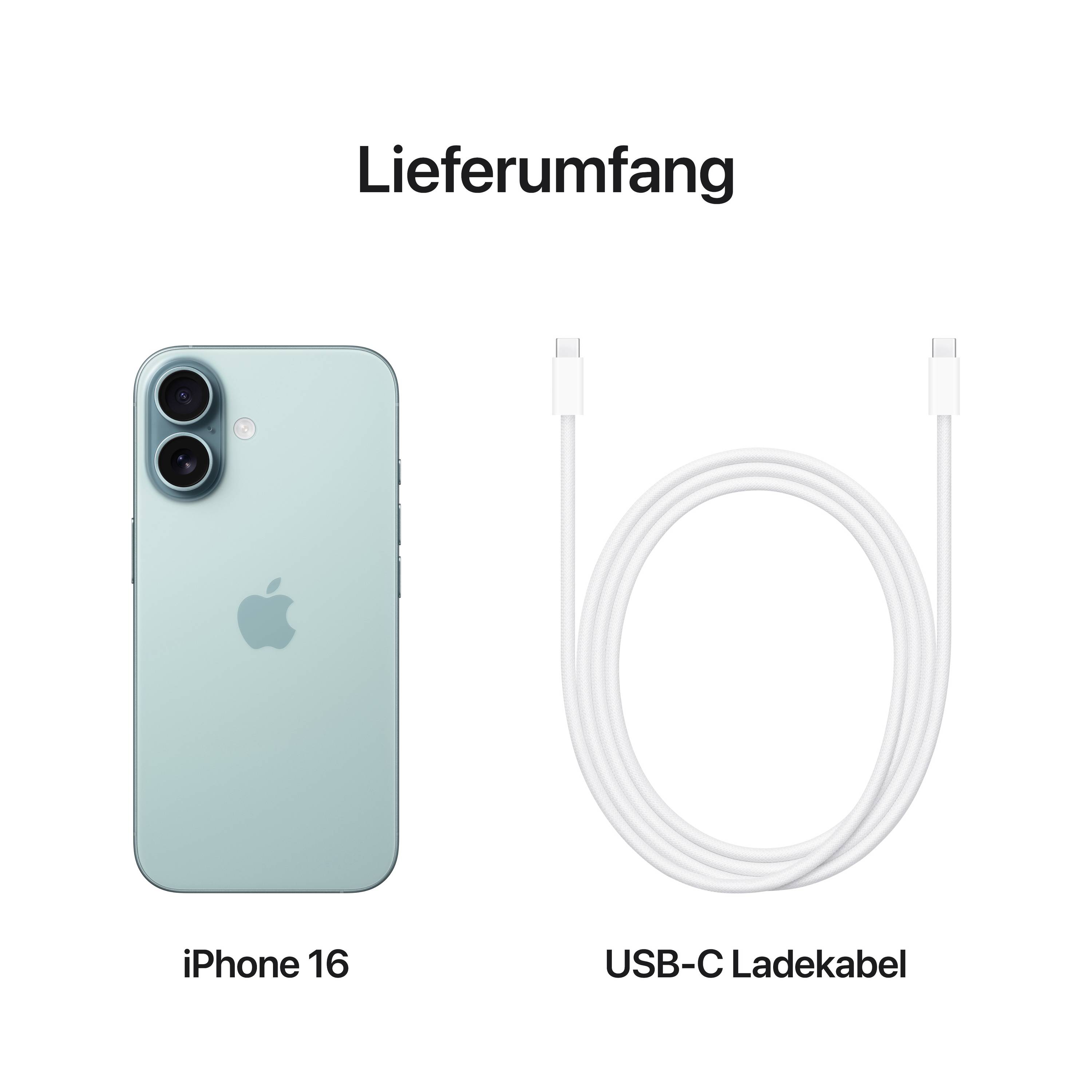 'Leveringsomvang: iPhone 16 in groen en USB-C oplaadkabel.'