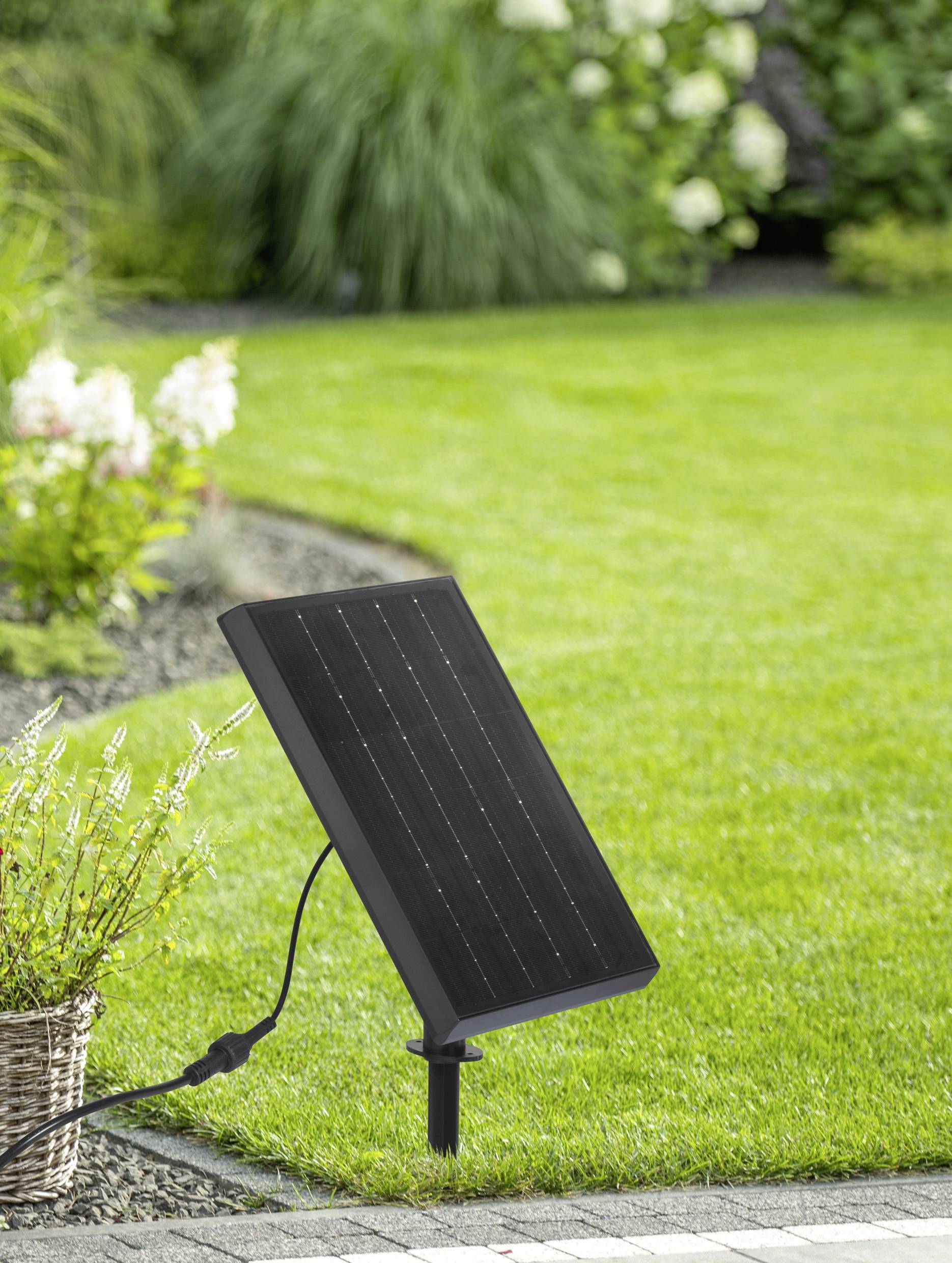 Een zwart zonnepaneel staat opgesteld in een grasveld. Het is aangesloten op een kabel en omringd door planten.