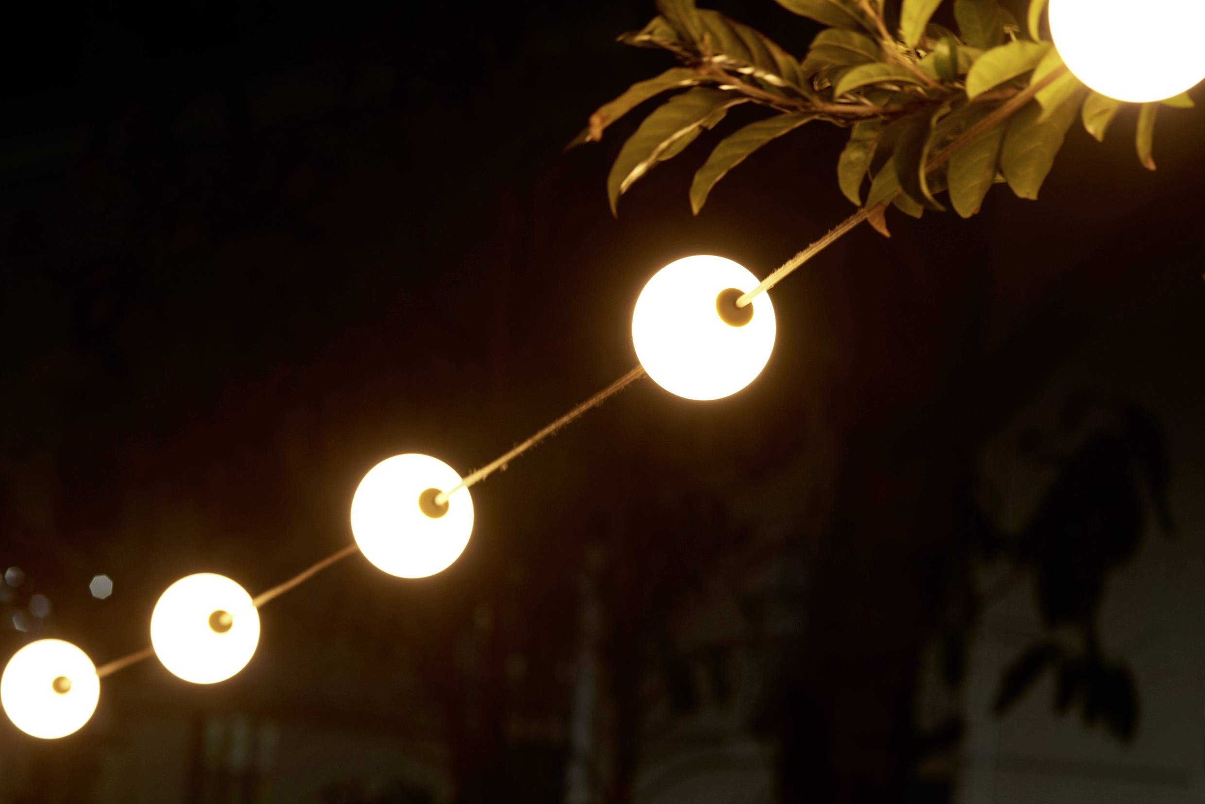 Een reeks verlichte buitenlampen hangt aan een draad, omgeven door donkere bladeren, verlicht subtiel een nachtelijk tafereel.