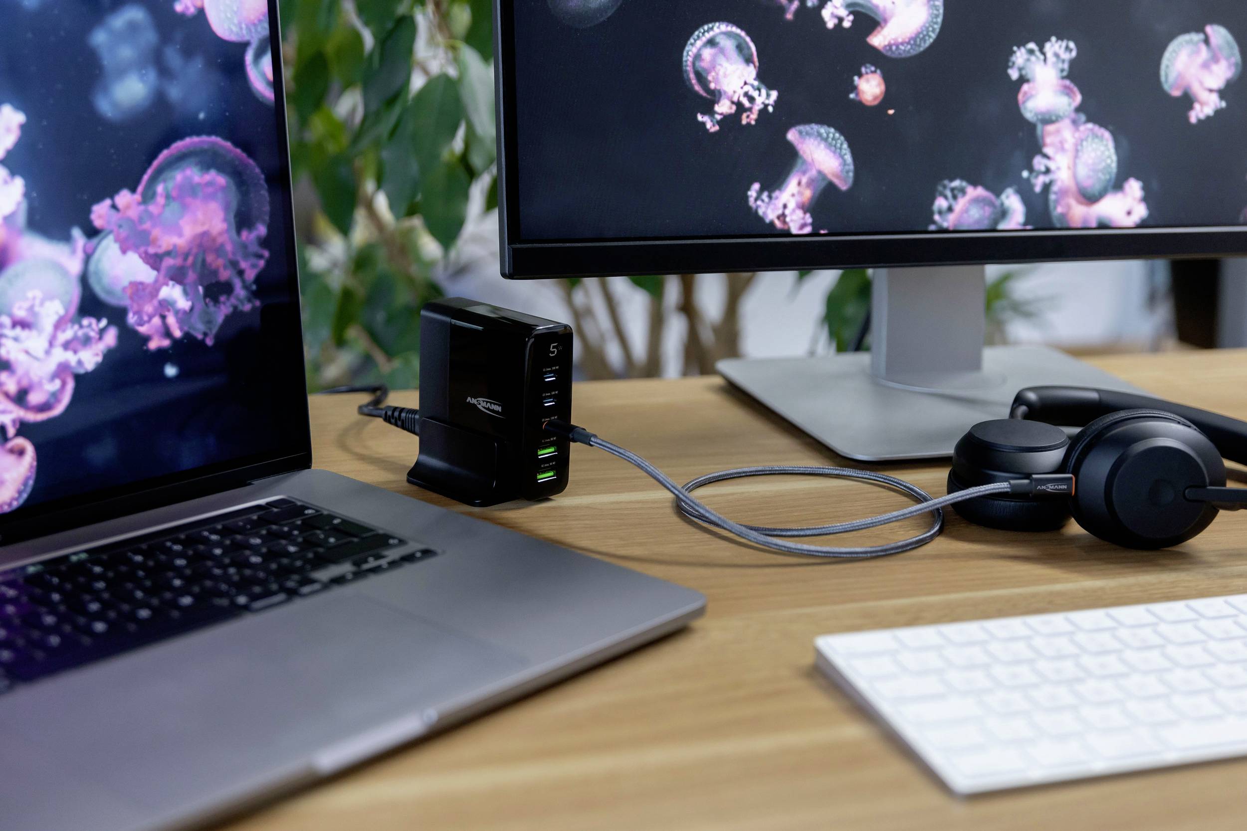Werkplek met laptop, twee monitors, koptelefoon en een USB-hub op een bureau. Monitors tonen kwallenfoto's.