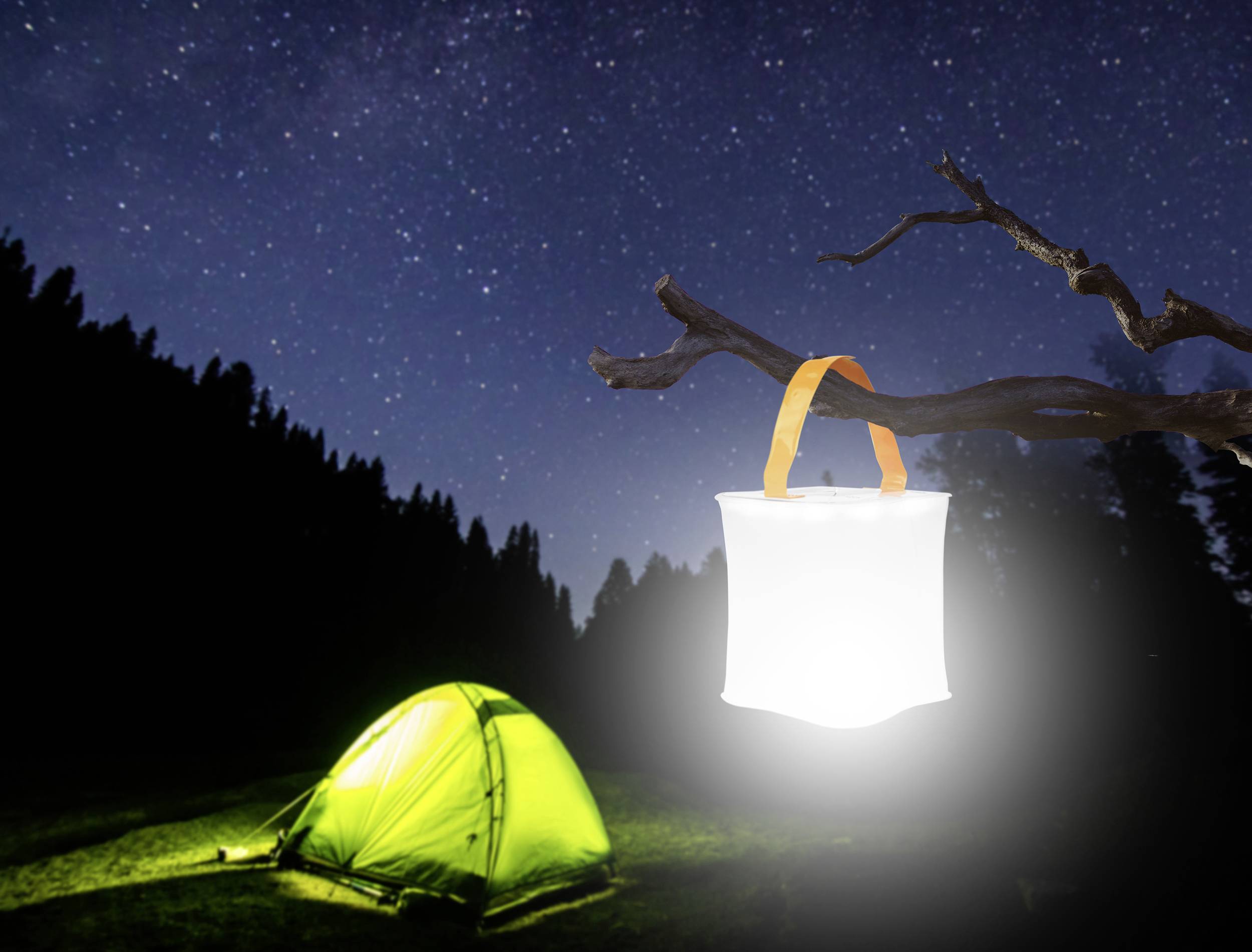 Een licht gekleurd tent staat in een bosrijk gebied onder een sterrenheldere nachtlucht. Een stralende lantaarn hangt aan een tak.