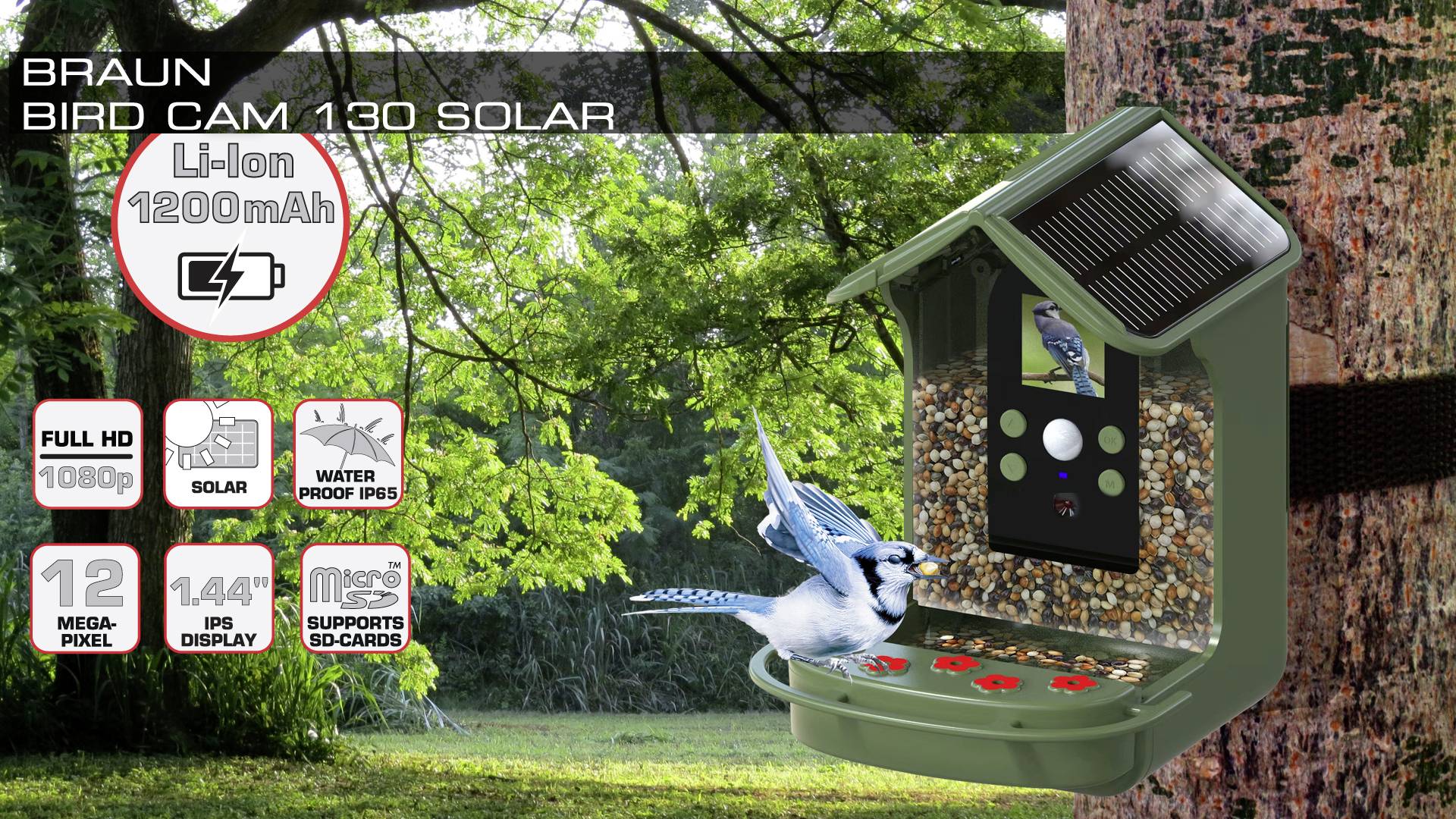 Vogelcamera met zonnepaneel aan boom gemonteerd, toont blauwe gaai op voederplatform. Functies: 12MP camera, 1080p video, SD-kaart ondersteuning.