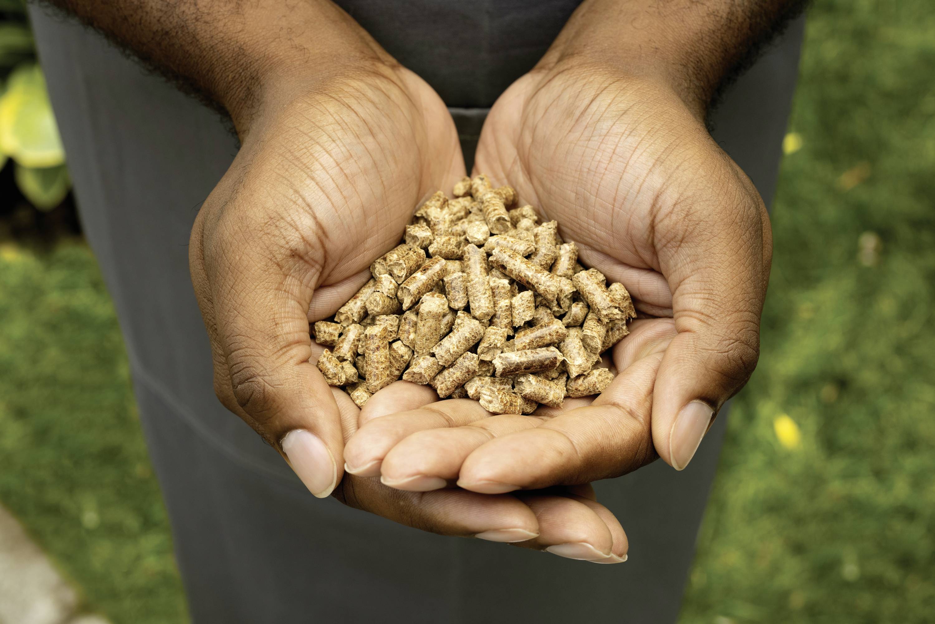 Een persoon houdt een handvol diervoeders in de vorm van korrels, die haar handpalmen vullen, terwijl ze in een tuin staat.