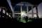 'Persoon met zaklamp onder een snelwegbrug 's nachts, omringd door betonnen pijlers, verlicht struiken op de voorgrond.'