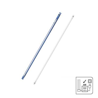 Twee buisvormige LED-lampen naast elkaar, één blauw, één wit. Rechtsonder een diagram met informatie over HF en 220-240V.