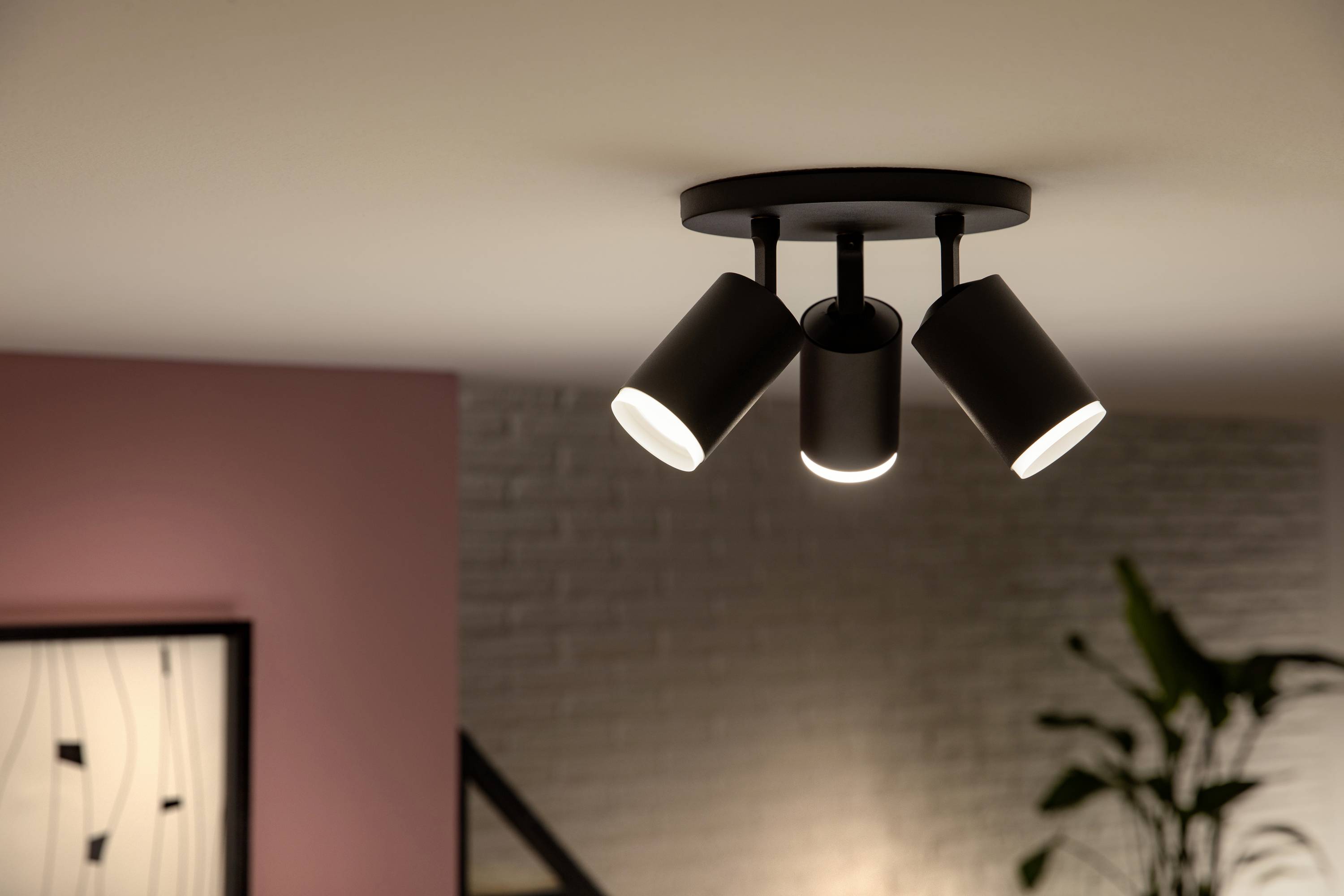 Drie plafondspots verlichten een modern ingericht vertrek met een roze muur en een kamerplant op de achtergrond.