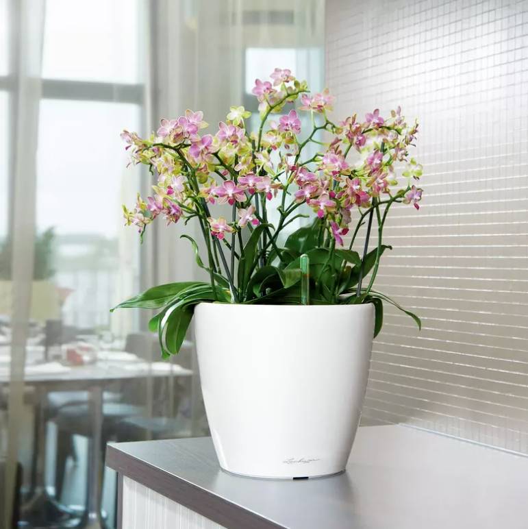 LECHUZA Classico 35 LS ALL-IN-ONE Bloempot - 35 x 32,5 cm - Glanzend Wit - Bewateringssysteem - Inhoud: 13 L-3
