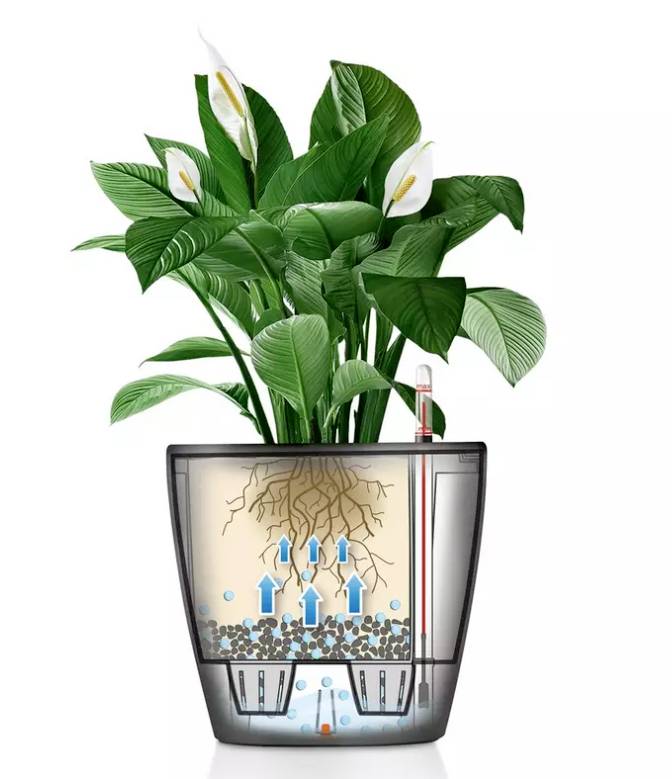 LECHUZA Classico 35 LS ALL-IN-ONE Bloempot - 35 x 32,5 cm - Glanzend Wit - Bewateringssysteem - Inhoud: 13 L-5