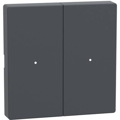 Schneider Electric MTN625214 PLC-accessoires-0