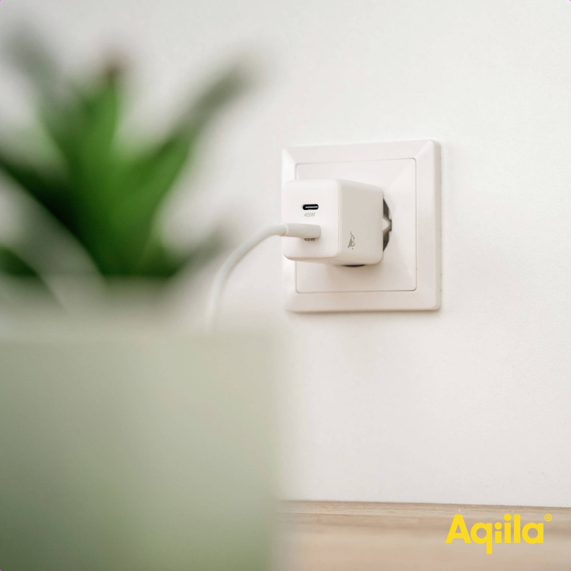 Een stekkerdoos-adapter met USB-aansluiting is in de muur gestoken. Op de voorgrond, onscherp, een plant.