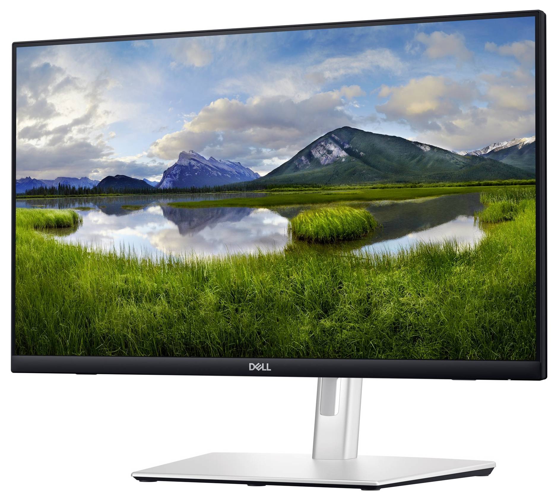 Een Dell-monitor toont een landschap met bergen, een heldere meer en groen gras onder een bewolkte lucht.