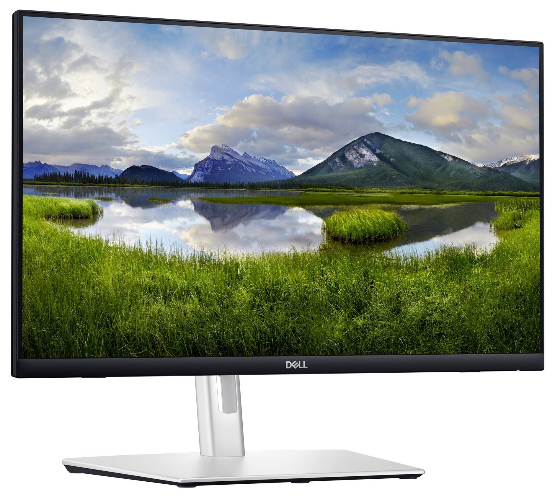 Een Dell-monitor toont een landschap met groene weiden, een stille meer en bergen op de achtergrond onder een bewolkte hemel.