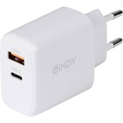LINDY USB-oplader Type A+C GaN-oplader 65W, wit-0