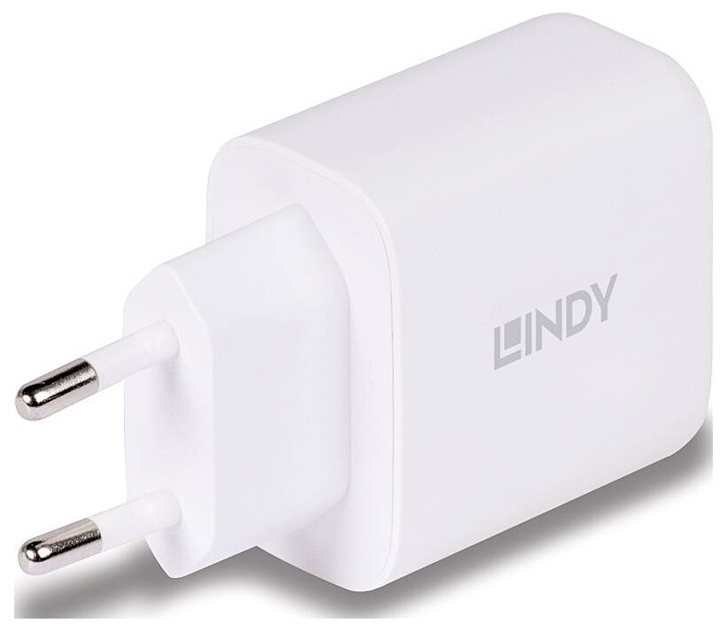 LINDY USB-oplader Type A+C GaN-oplader 65W, wit-1