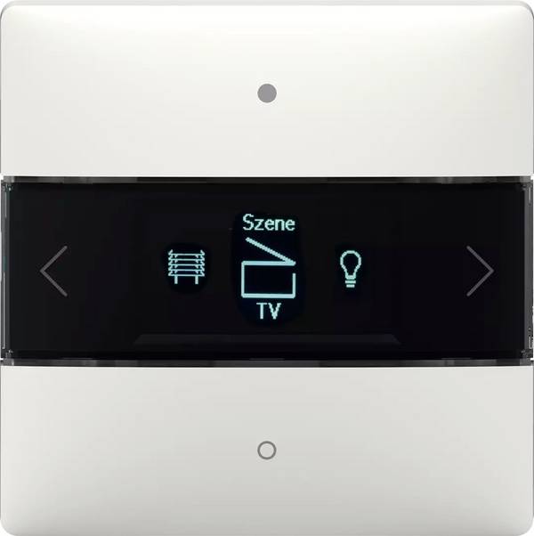 Theben KNX 4969238 Controller    iON 108 KNX