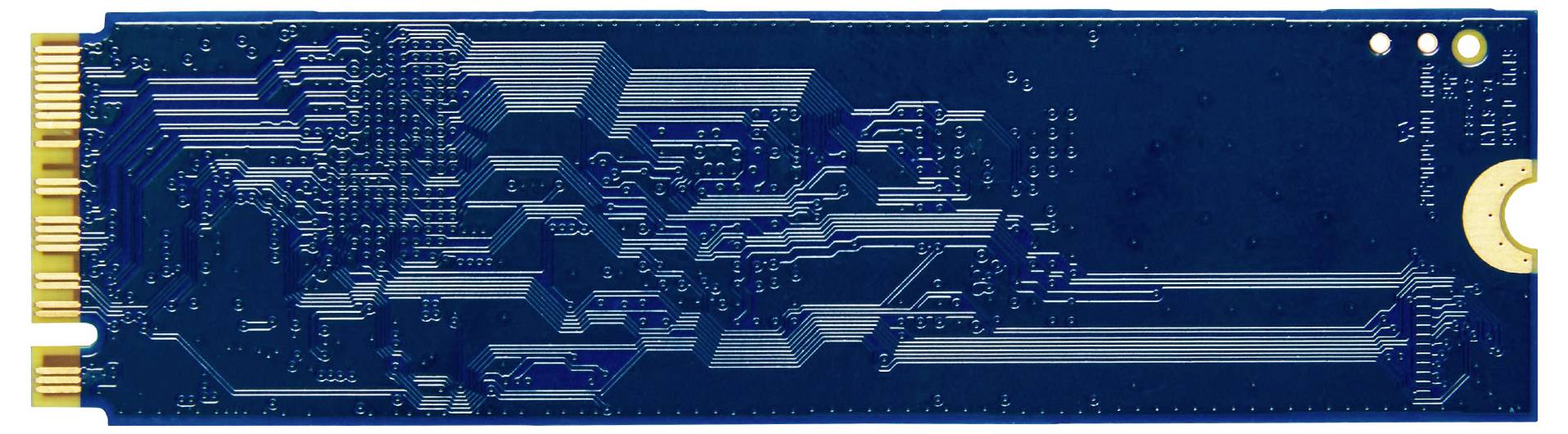 Een blauwe, lege SSD-printplaat met een gouden aansluiting aan de linkerkant. De printplaat toont een gecompliceerd patroon van elektronische schakelingen.