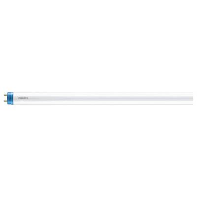 Tl-buis met blauwe eindkappen en het opschrift 'Philips'.