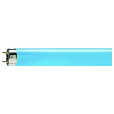 Een blauw tl-licht, horizontaal uitgelicht. De metalen bevestiging is links zichtbaar.