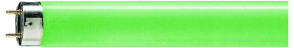 Philips Fluorescentielamp G13 18 W Staaf 1 stuk(s)