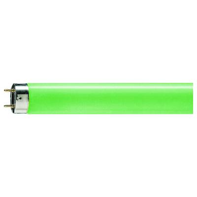 Groene tl-buis met zilveren eindkappen, toont de typische tweepolige aansluitstructuur.