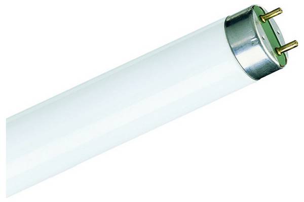 Philips Fluorescentielamp Energielabel: G (A - G) G13 36.6 W Warmwit Staaf (Ø x h) 28 mm x 26 mm 1 stuk(s)