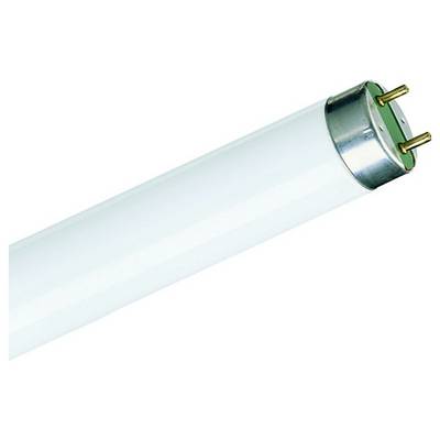 Een wit, cilindrisch tl-lamp met twee metalen pennen aan één uiteinde, geïsoleerd op een witte achtergrond.