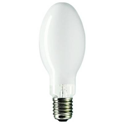 Een enkele gloeilamp met schroefdraad, geschikt voor standaard lampfittingen.