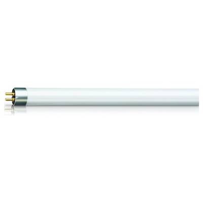 Een witte tl-buis met twee metalen pennen aan één uiteinde, tegen een witte achtergrond.