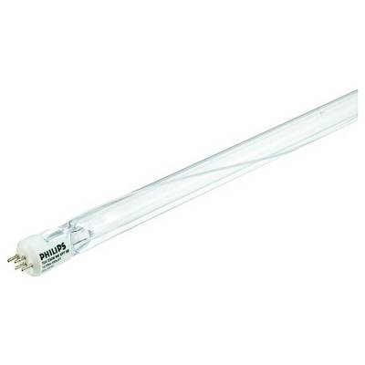 Lange, transparante gloeilamp met vier metalen pennen aan het uiteinde. Merknaam 'Philips' en modelinformatie zichtbaar aan de voet.