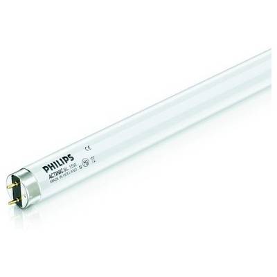 Een witte TL-buis van Philips met een tweepolige aansluiting aan één kant, geschikt voor verlichting.