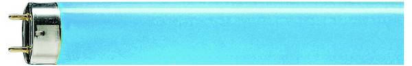 Philips Fluorescentielamp G13 36 W Staaf (Ø x l) 28 mm x 1213.6 mm 1 stuk(s)