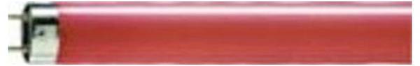 Philips Fluorescentielamp G13 18 W Staaf 1 stuk(s)