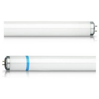 Twee witte tl-buizen, een met een blauwe ring, tonen ontwerpverschillen.
