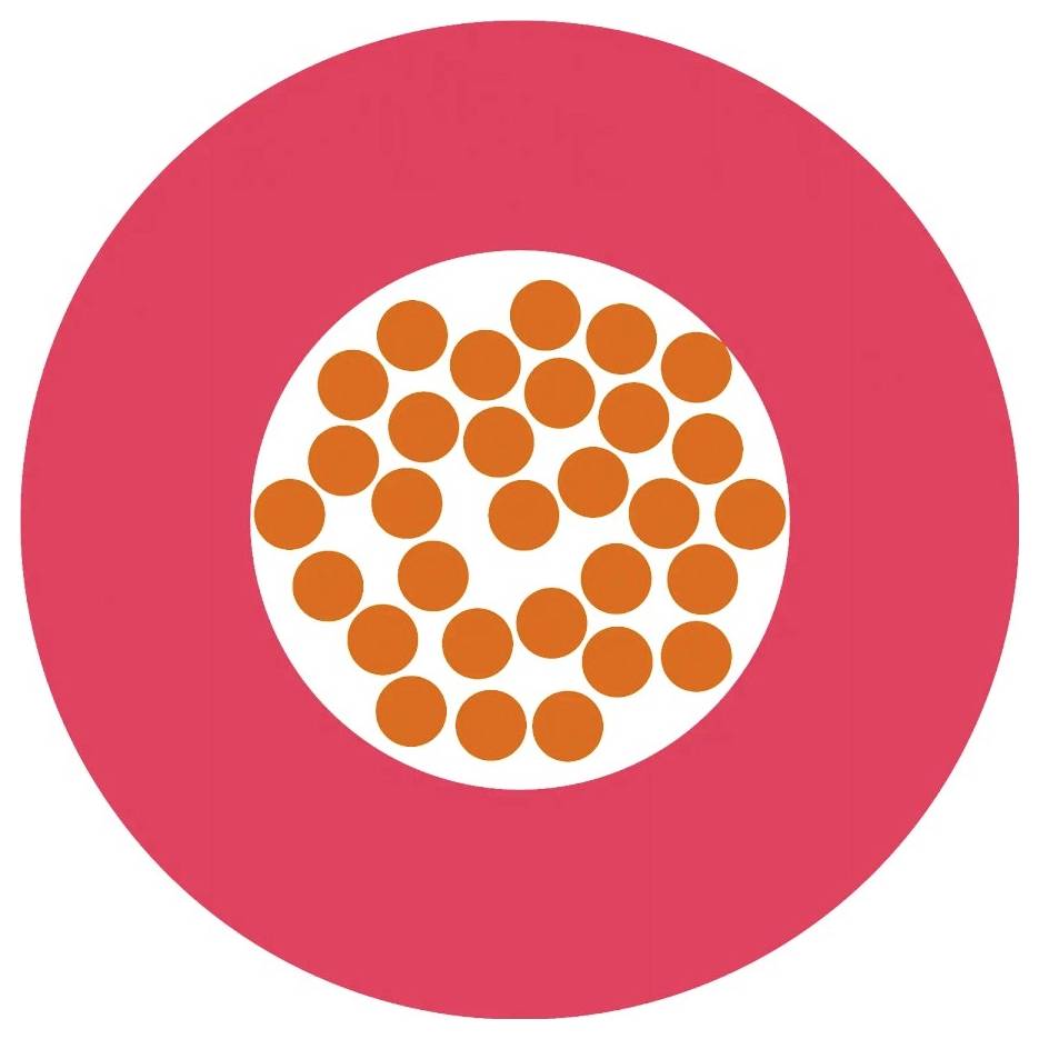 Roze cirkel met een wit centrum, gevuld met gelijkmatig verdeelde, kleine, oranje puntjes.