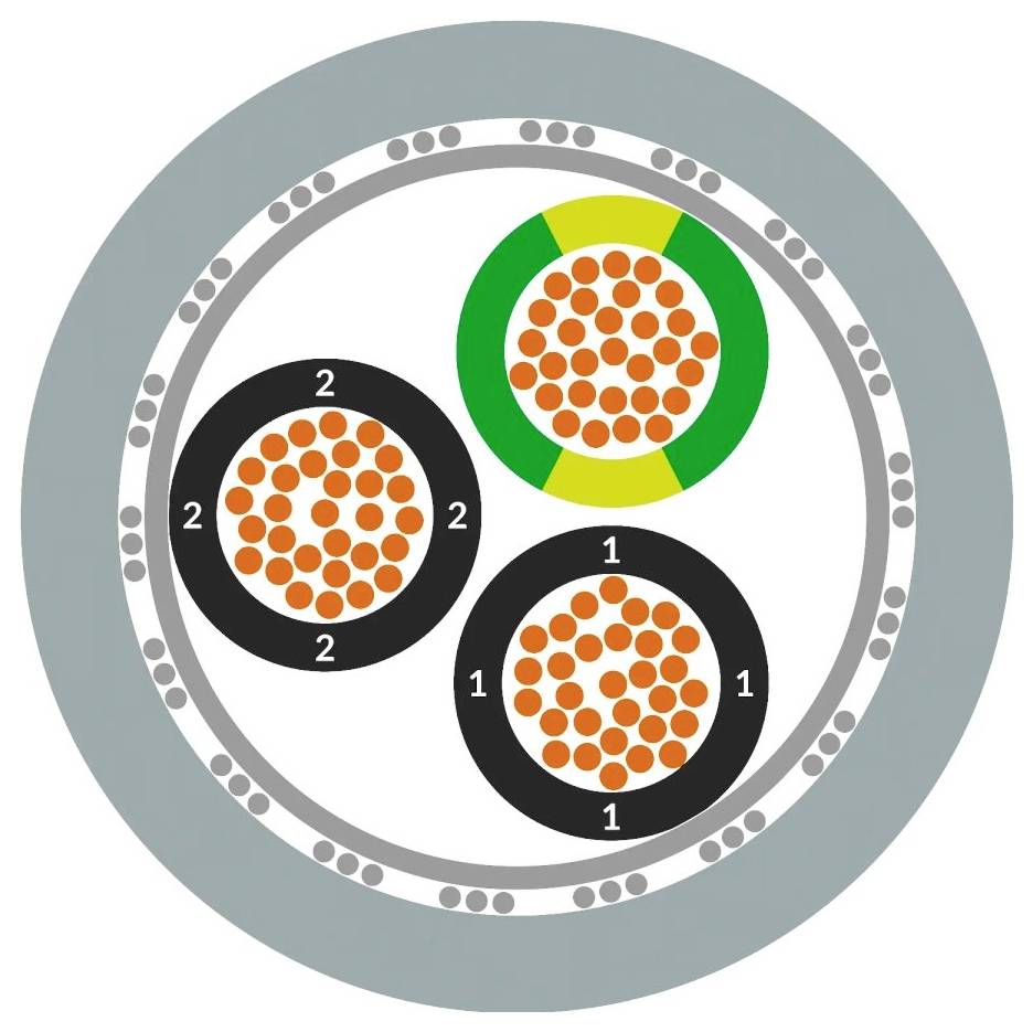 Schematische weergave van een elektrische kabel met drie geleiders in zwarte en geel-groene coating, gemarkeerd met de nummers '1' en '2'.