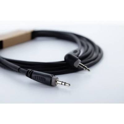 Een zwarte audiokabel met twee 3,5-mm-pluggen op een witte achtergrond, toont aansluitingsmogelijkheden voor koptelefoons of speakers.