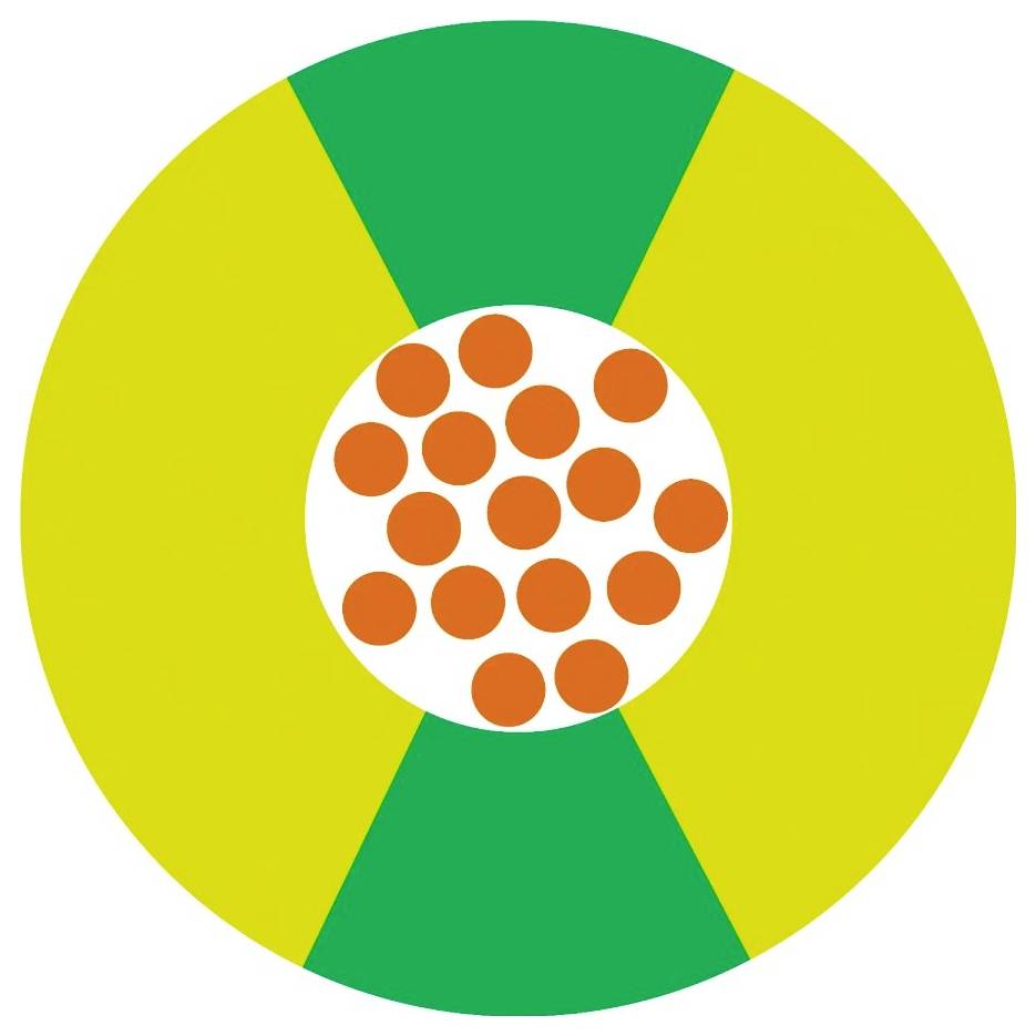 Groene en gele gebieden met een witte cirkel in het midden, die oranje punten bevat die gegevens of processen kunnen voorstellen.