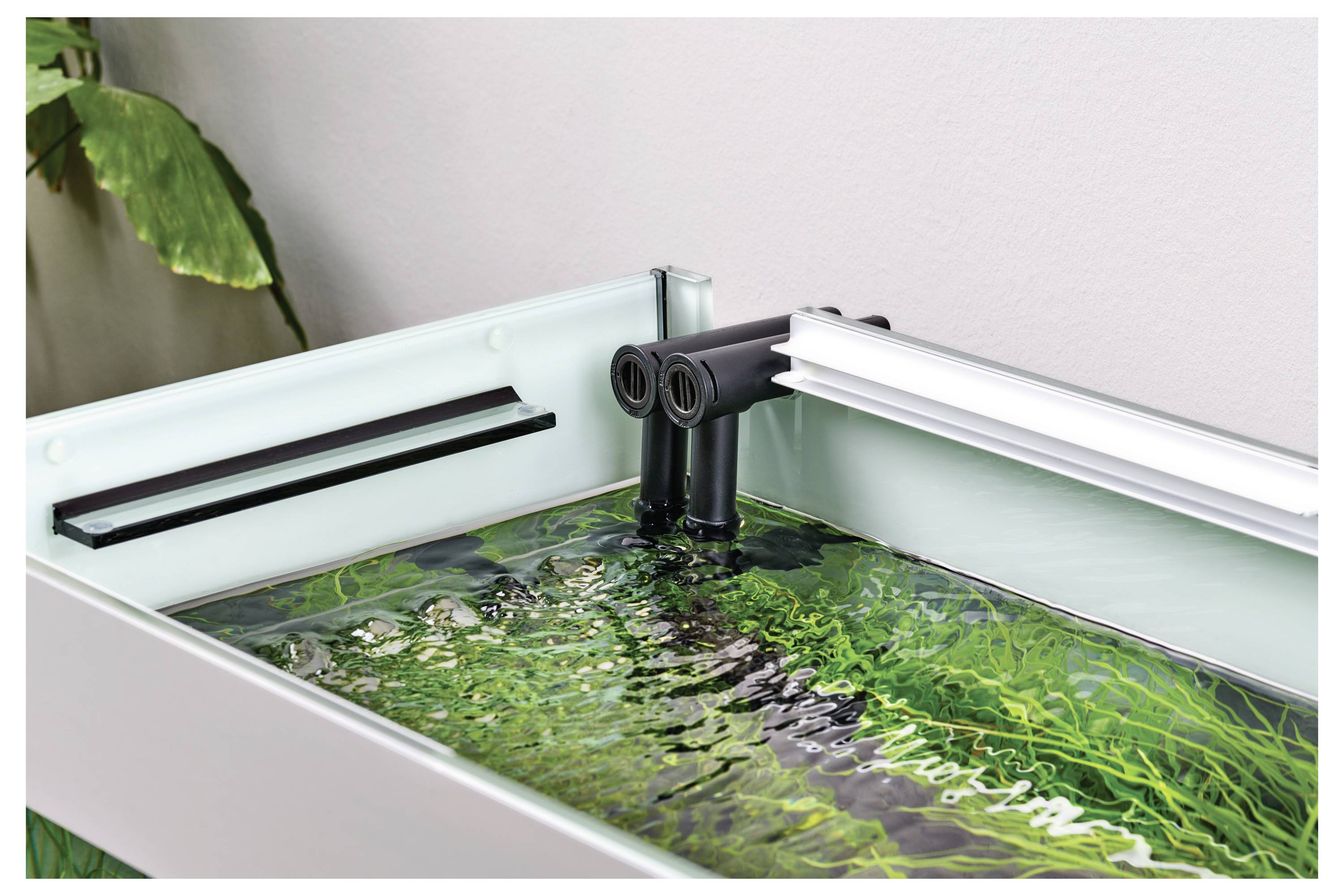 Een beplant aquarium gezien van bovenaf, met weelderige groene waterplanten, een waterfilter-uitlaat die rimpels veroorzaakt, en zacht natuurlijk licht.