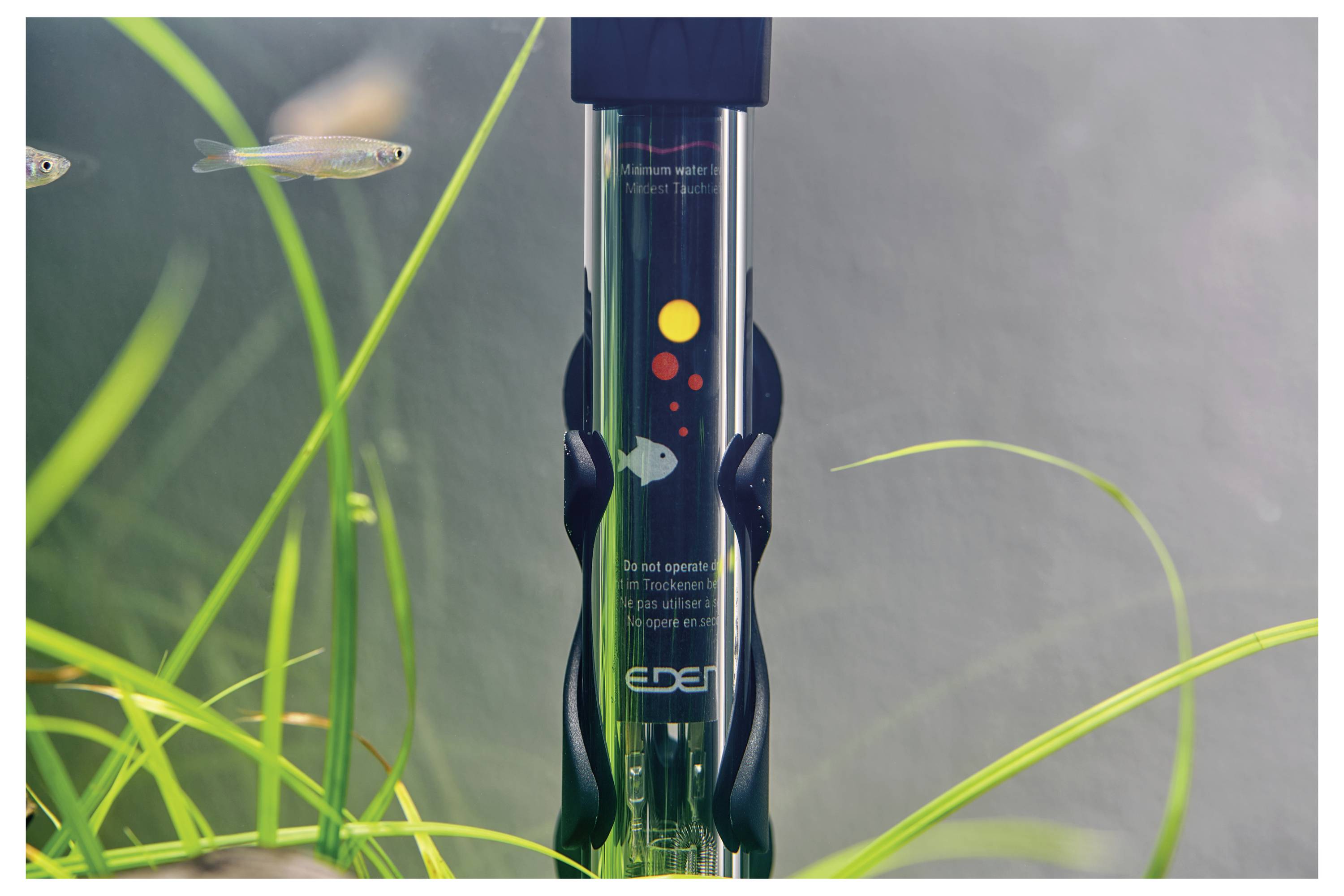 Aquariumverwarming ondergedompeld in water met temperatuurmarkeringen, omringd door waterplanten en kleine vissen die in de buurt zwemmen.