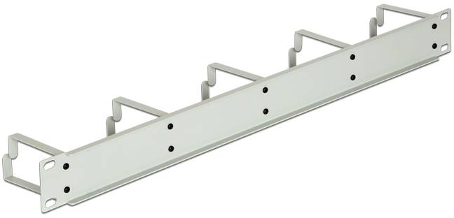 Delock 42116 19 inch Kabelgeleiding voor patchkast 1 HE Grijs-wit (RAL 7035)-2