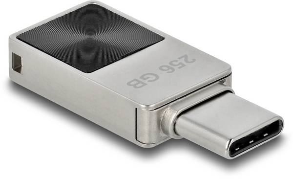 Delock Mini USB 5 Gbps USB-C™ Memory Stick 256 GB - Metal Housing