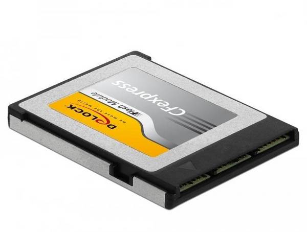Delock CFexpress memory card 256 GB