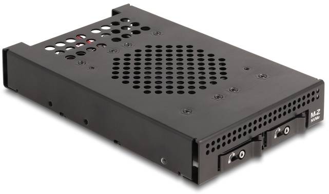 Delock 47070 HDD-wisselframe M.2, PCI-1