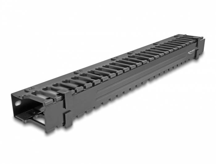 Delock 67022 19 inch Kabelgeleiding voor patchkast 1 HE Zwart-1