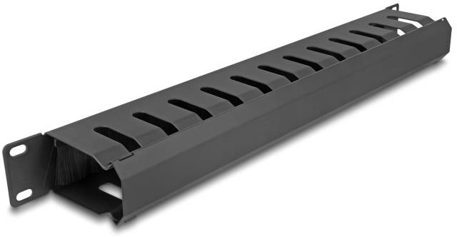Delock 67069 19 inch Kabelgeleiding voor patchkast 1 HE Zwart-1
