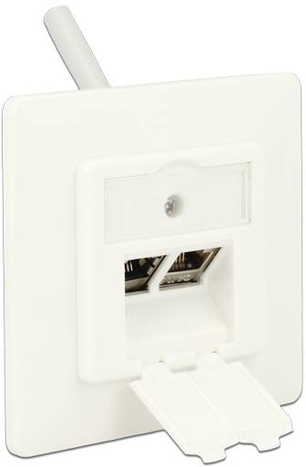 Witte netwerkcontactdoos met twee Ethernet-poorten en een opklapbare afdekking, gemonteerd aan een muur.